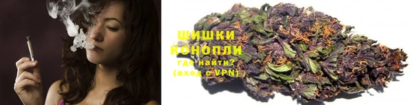 бошки Алексин