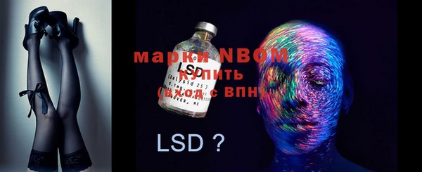 шишки Алзамай
