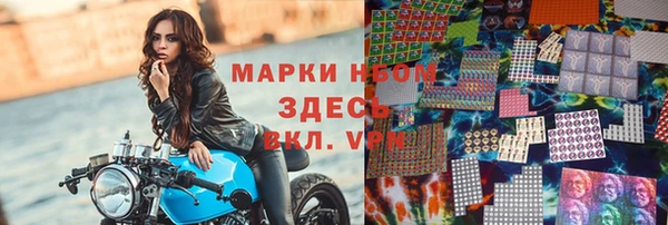шишки Алзамай