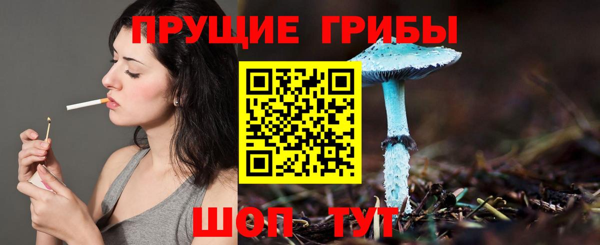 Галлюциногенные грибы мицелий Люберцы